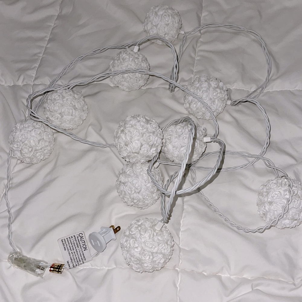 CUTEE!! Hanging lights! Rose design :) only used once. White color.